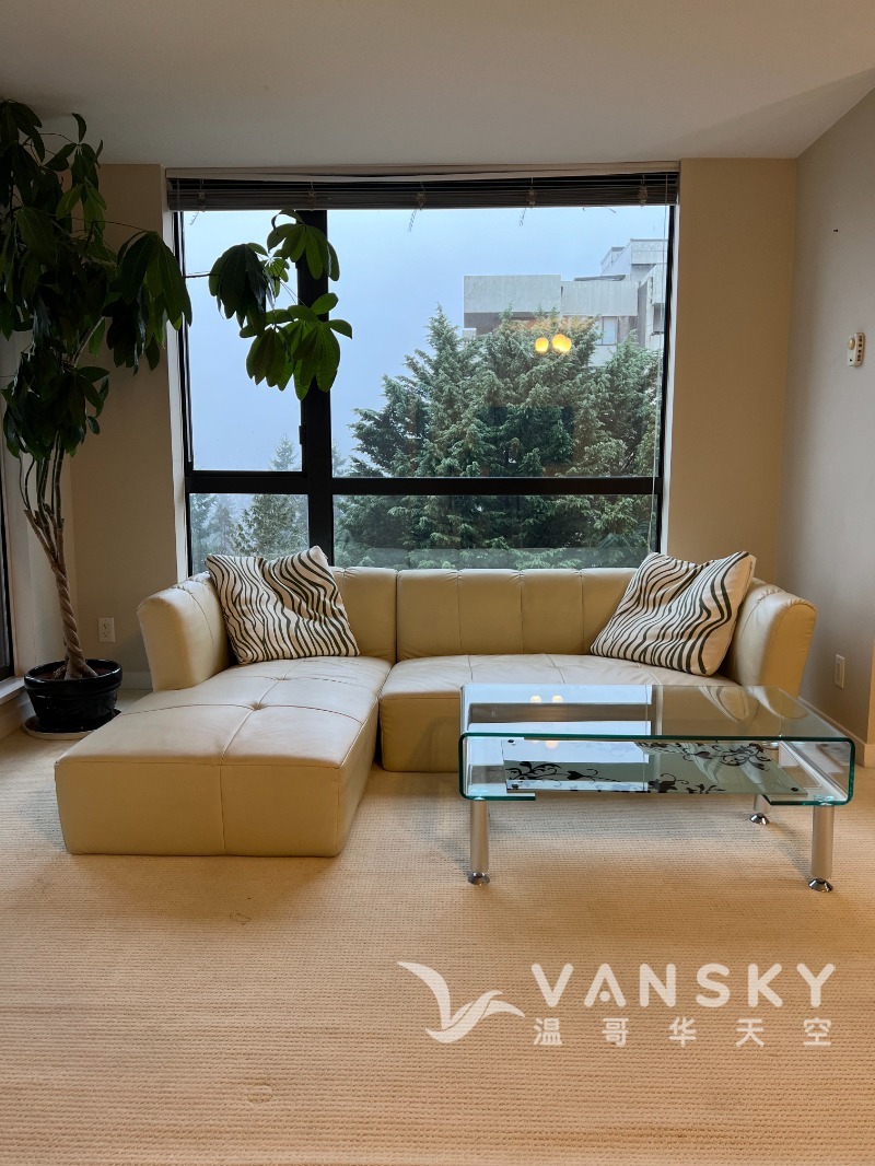 250203110145_Living room.jpg